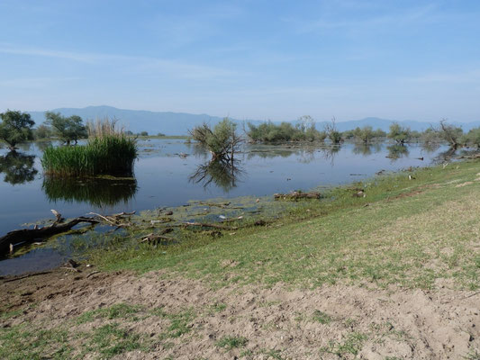 Limnochori