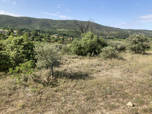  omgeving van Gorges de la Nesque 