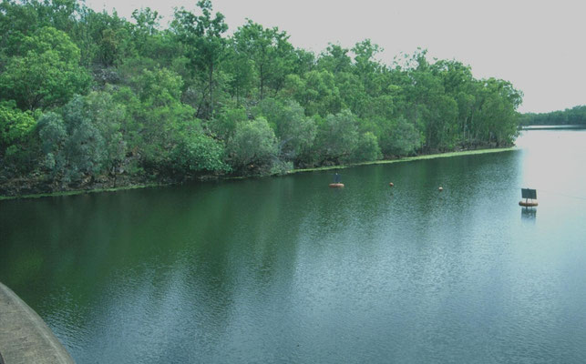 Manton Dam