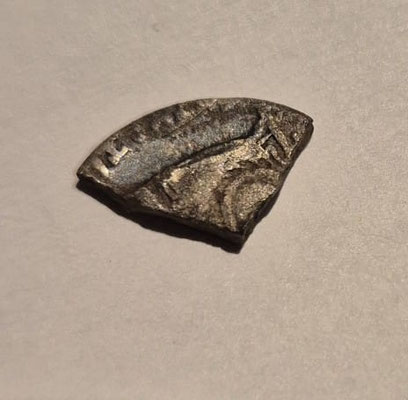 Denarius, Augustus, Caius & Lucius , BC 2 - AD 12 , Lyon, vondst Marcel