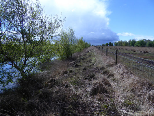 Bargerveen
