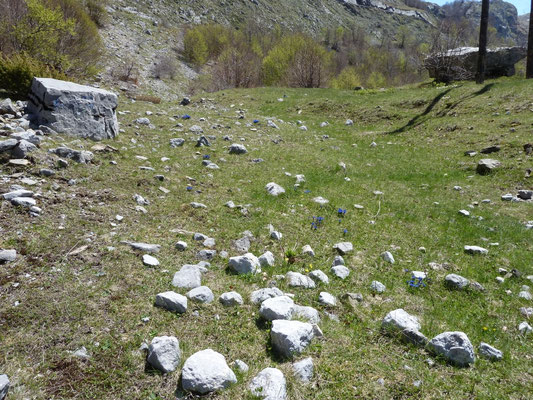 Bij Bukumirsko jezero