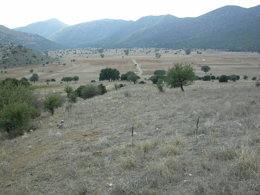 omgeving Nestani