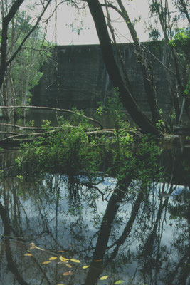 Manton Dam