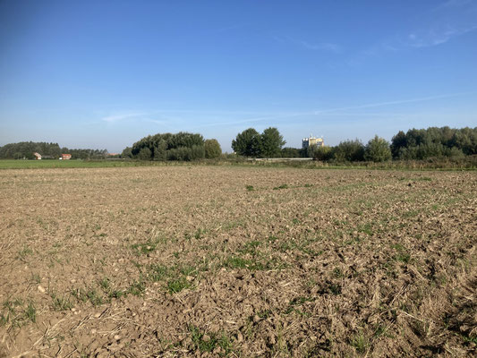 Land achter de aardappelboer langs de Essendijk