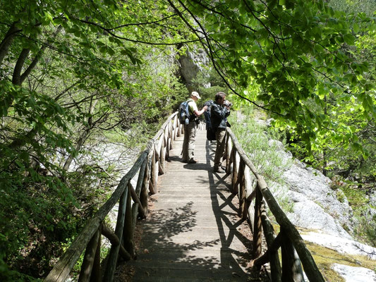 bergboswandeling nabij Prionia