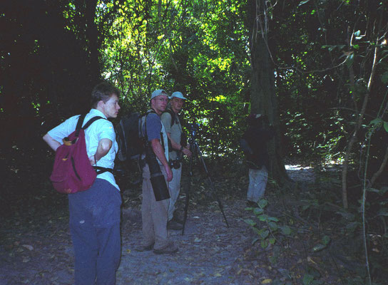 Abuko Nature Reserve