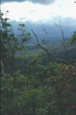 Uitzicht Tableland