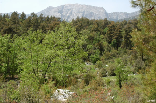 uitzicht op de bergen