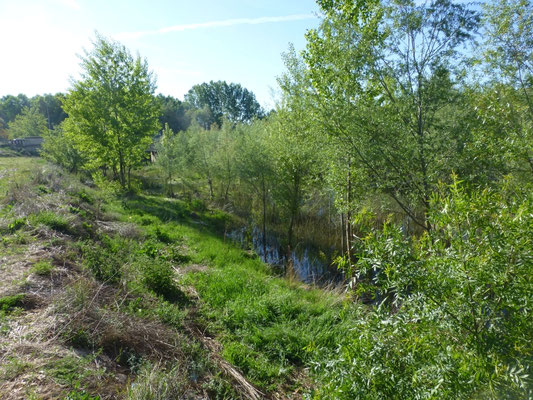 riviertje Arianza