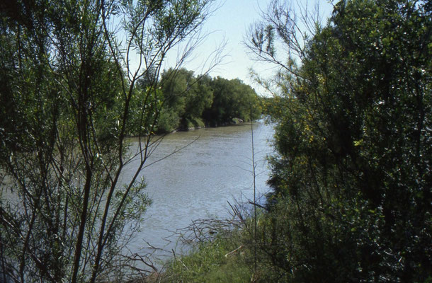 Rio Grande