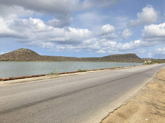 Flamingohabitat Weg naar Bullenbaai