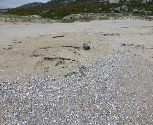 schelpenstrand