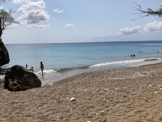 Westpunt, Playa Forti
