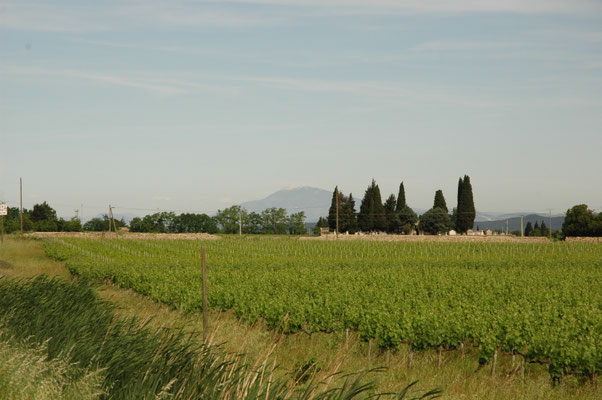 Mont Ventoux
