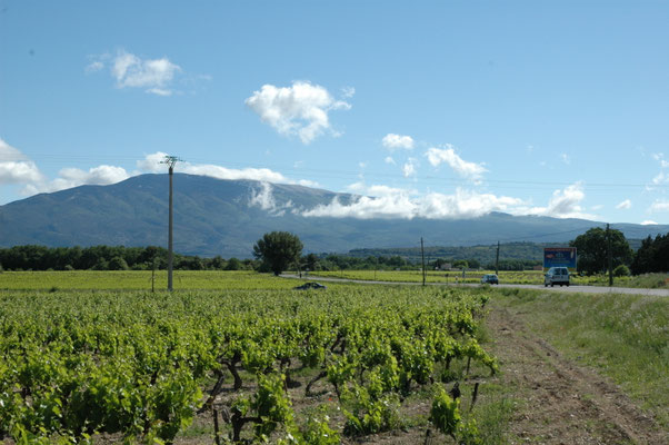 uitzicht op Mont Ventoux