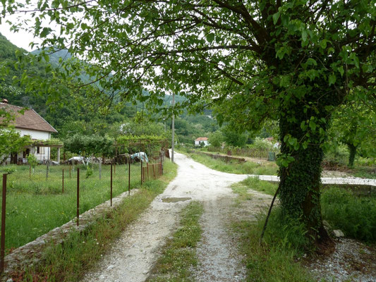 nabij Godinje