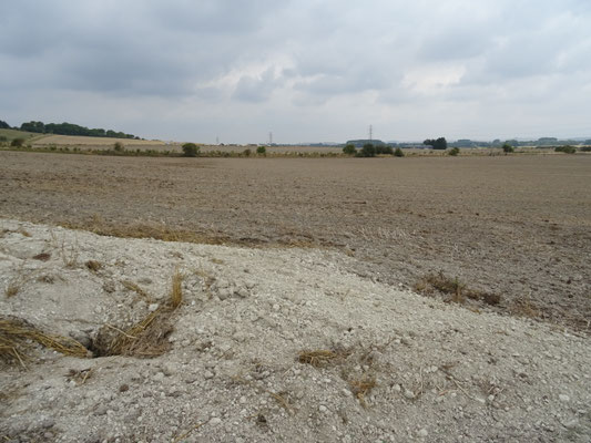 Veld 3, waar een Romeinse villa op gelegen heeft