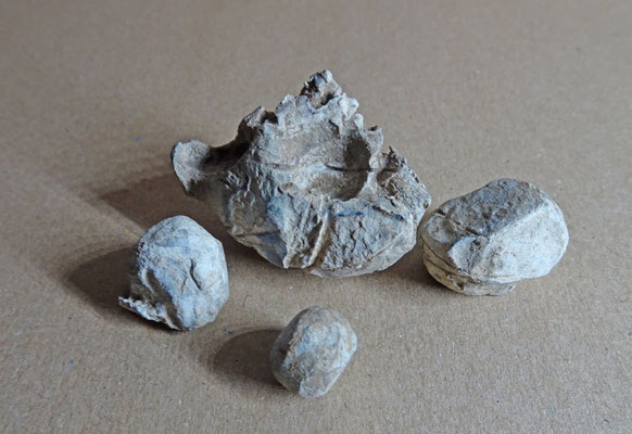 musketkogels