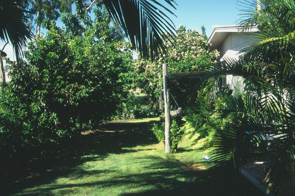 Huis en tuin van vam Uncle Hank in Moura