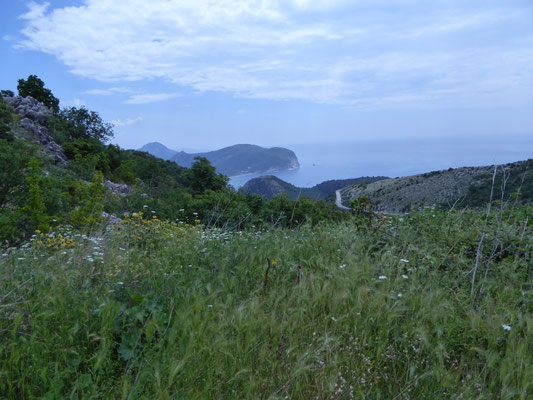 vuilstort omgeving Petrovac