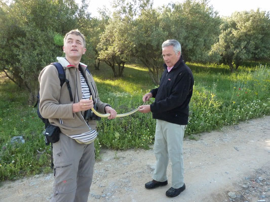 Martin en Carlo meten de lengte