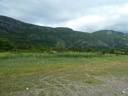 Buljarica wetlands