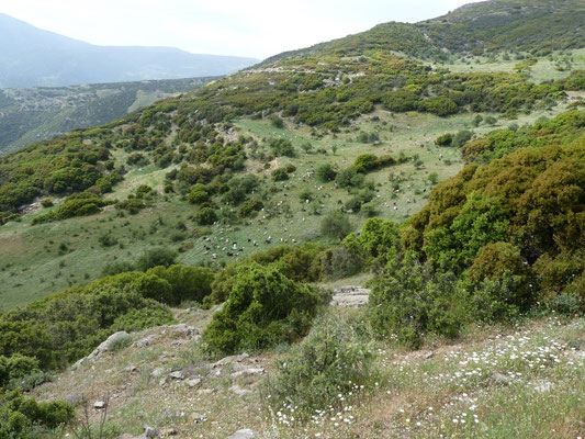 andere locatie bij Kato, Olympos