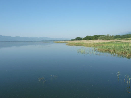 Limnochori