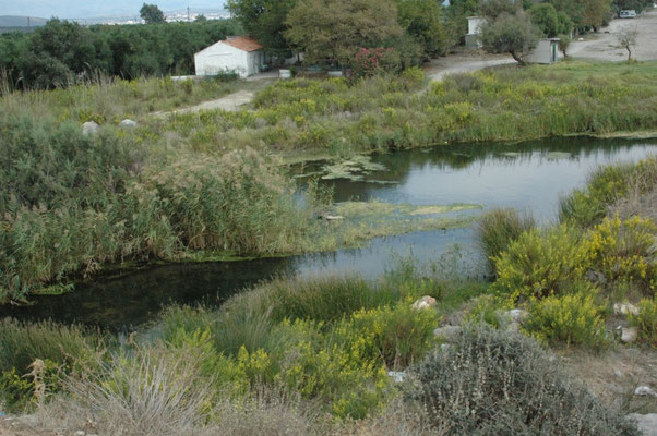 uitstroom rivier