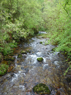 Rio Puron