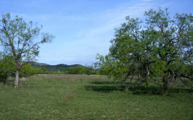 Garner State Park
