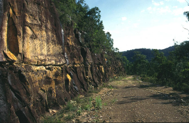 Dharug NP