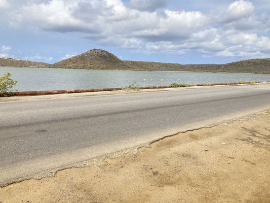 Flamingohabitat Weg naar Bullenbaai