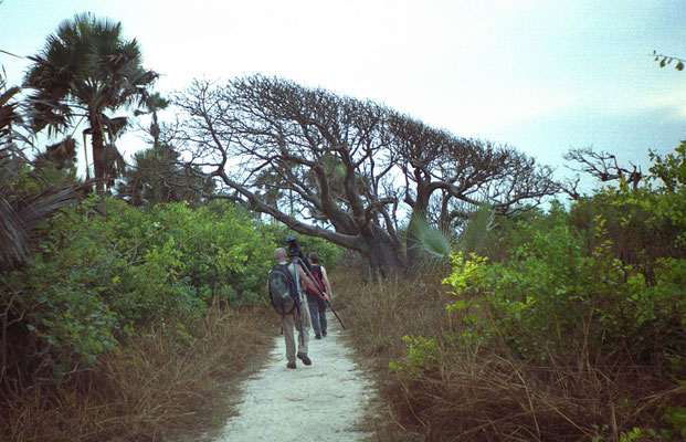 Bijilo Forest Park