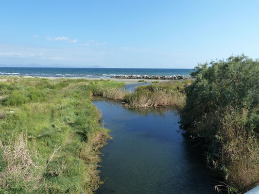 omgeving Trinisa