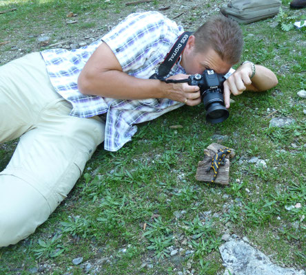 fotosessie