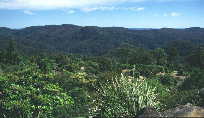 Mount Tomah Botanic Garden