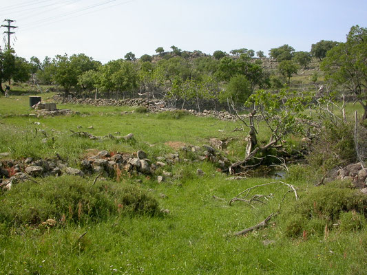 heuvellandschap