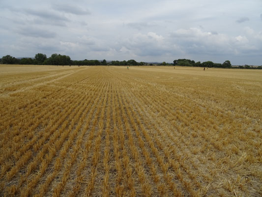 Veld aan overkant van velden 3 en 4