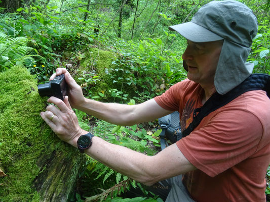 Martin fotografeert salamander, foto Anton