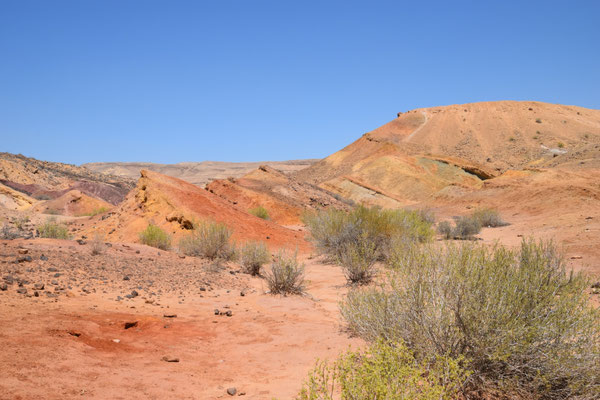 Coloured Sands