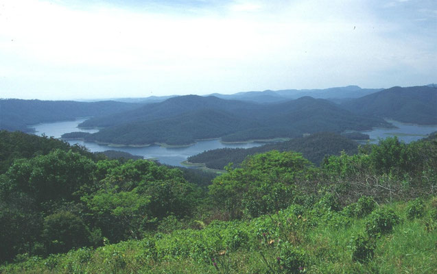 Richting Lamington NP