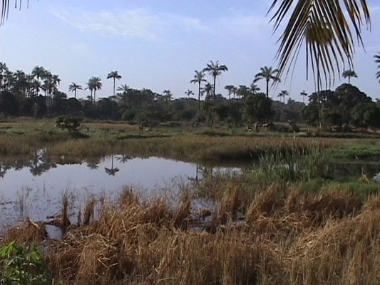Abuko Nature Reserve
