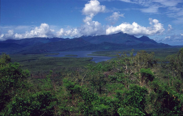 Eungella NP