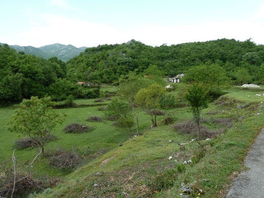 Dupila Vallei
