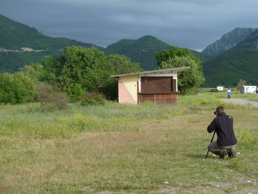 Buljarica wetlands