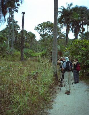 Bijilo Forest Park