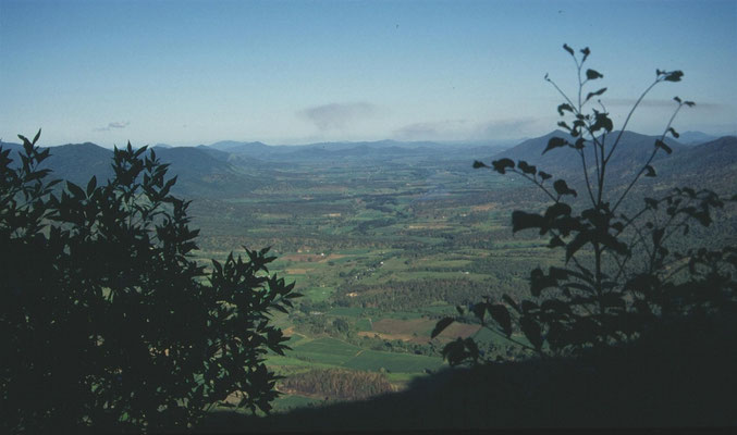 uitzicht op Eungella NP