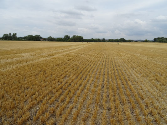 Veld aan overkant van velden 3 en 4